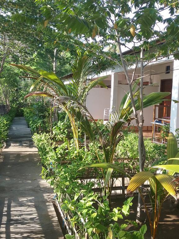 Putri Homestay Gili Meno Exterior foto